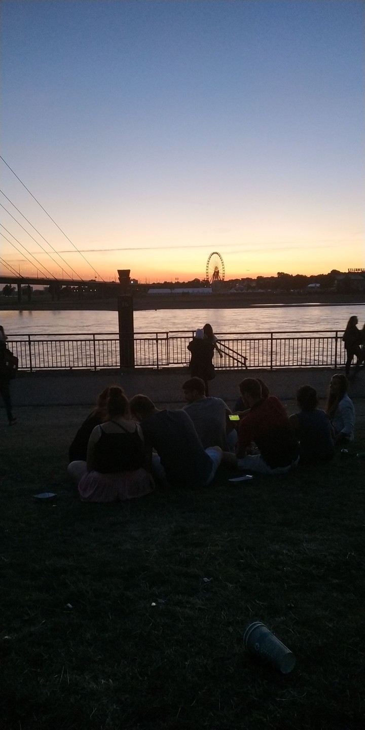 rhin