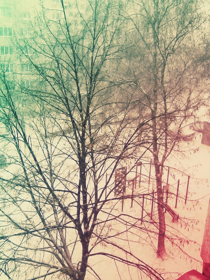 Winter