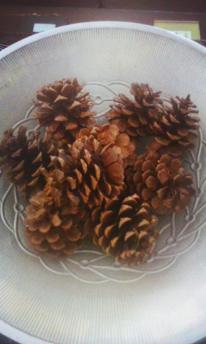 #acorn