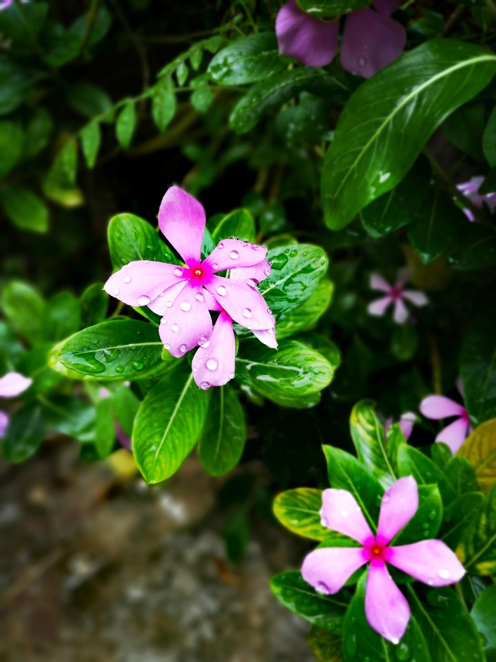 Droplets