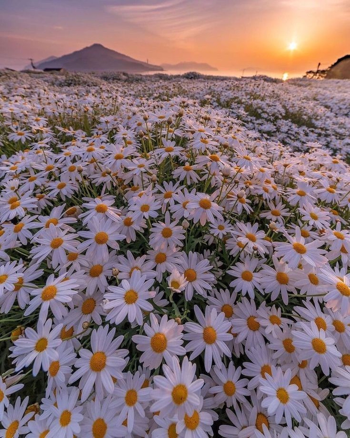 Beautiful wallpaper