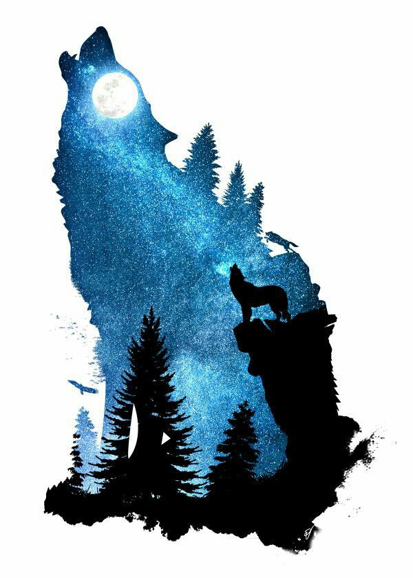 wolf