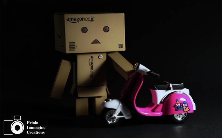 Danbo model