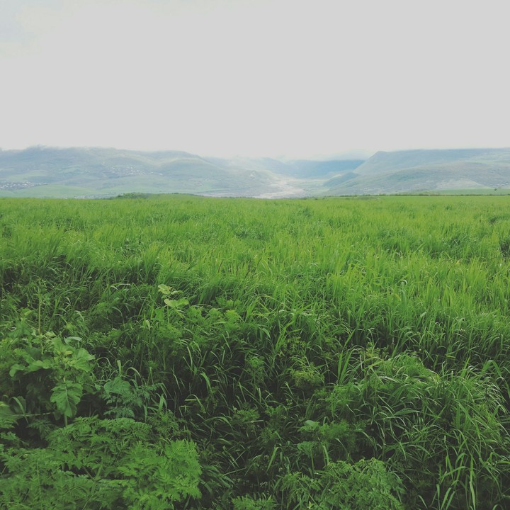 #ismayıllı #azerbaijan #mountain