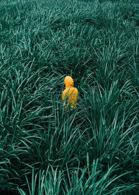 Raincoat in the Grass