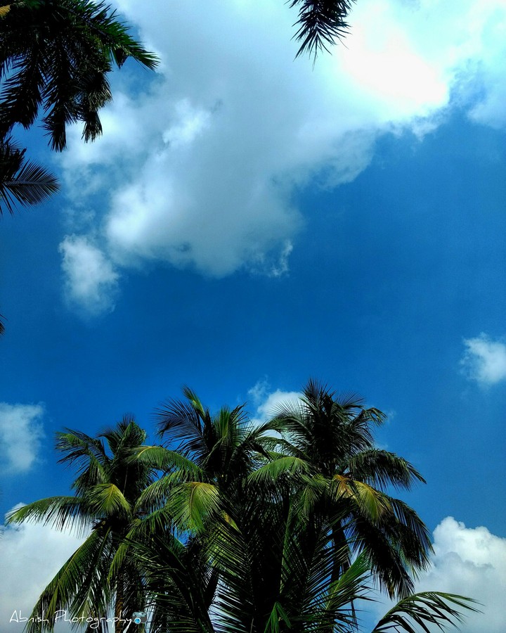 abnish_photography