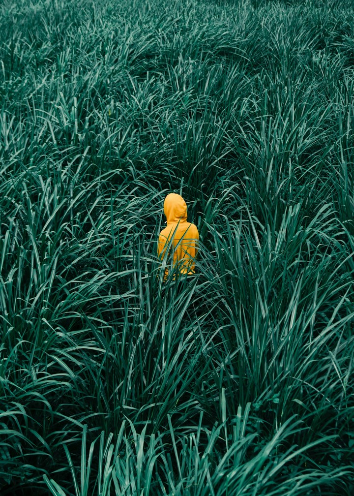 Raincoat in the Grass