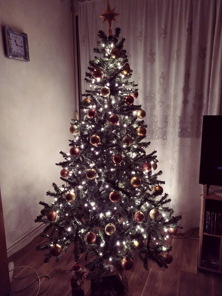 •oh christmas tree•