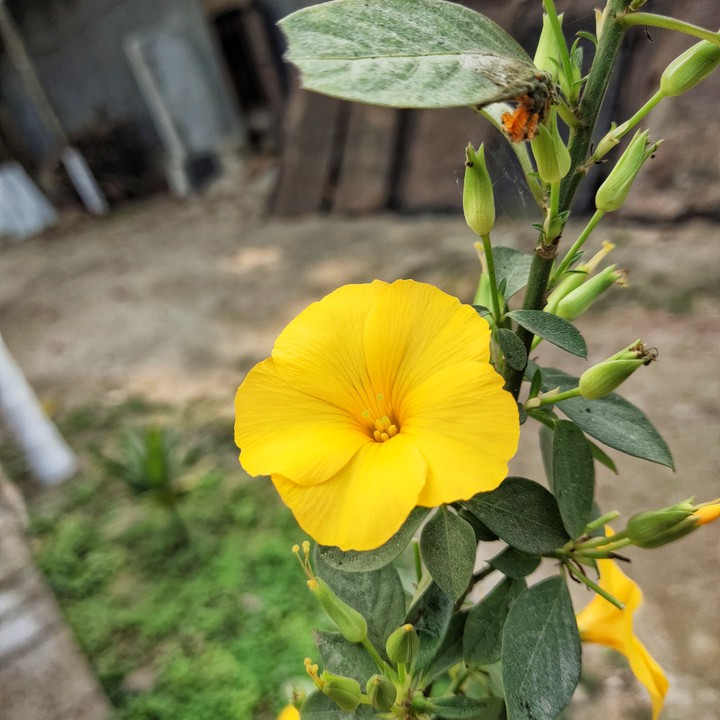 nature