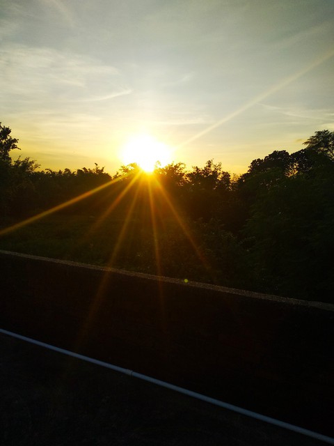 morning view