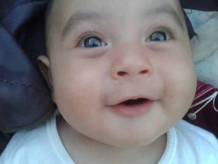 Little brown
