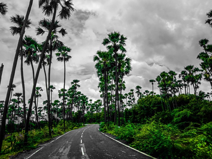 My favorite road