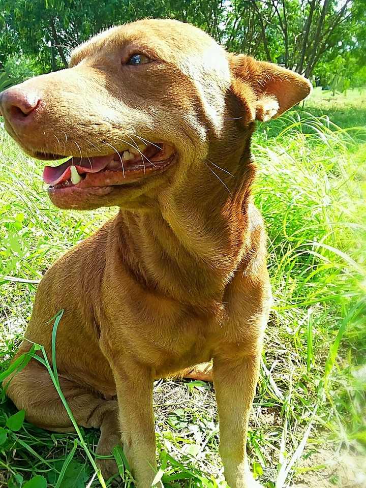 She's on the Grass