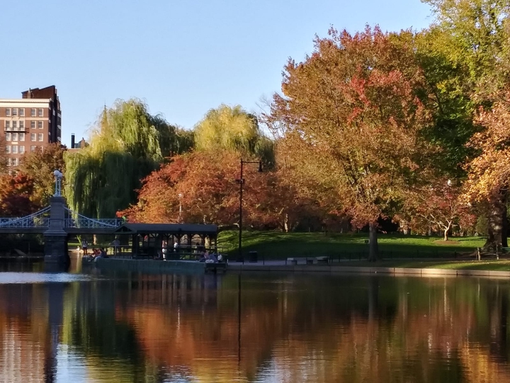 City of Boston  Autumn??