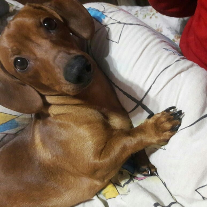 Max