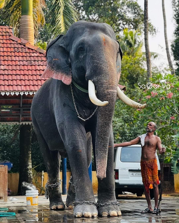 .