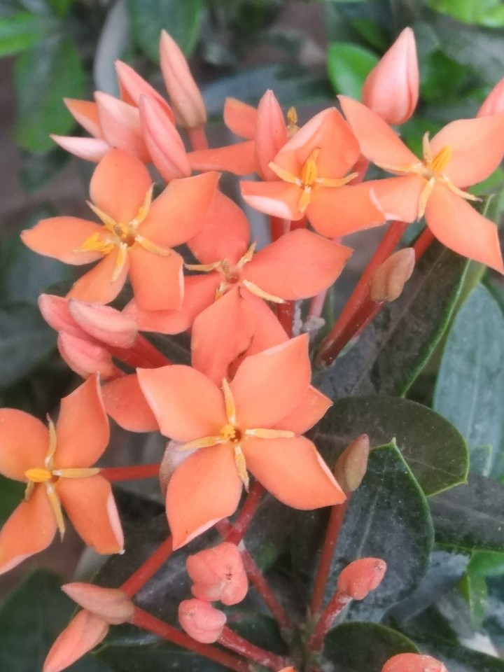Beautiful nature