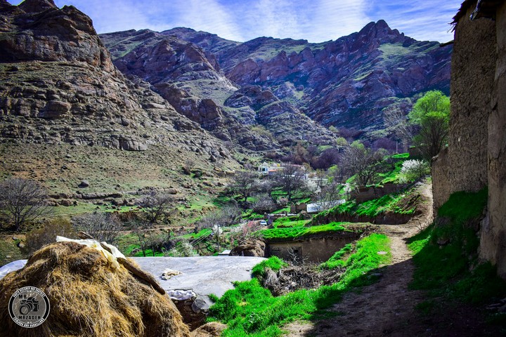 iran