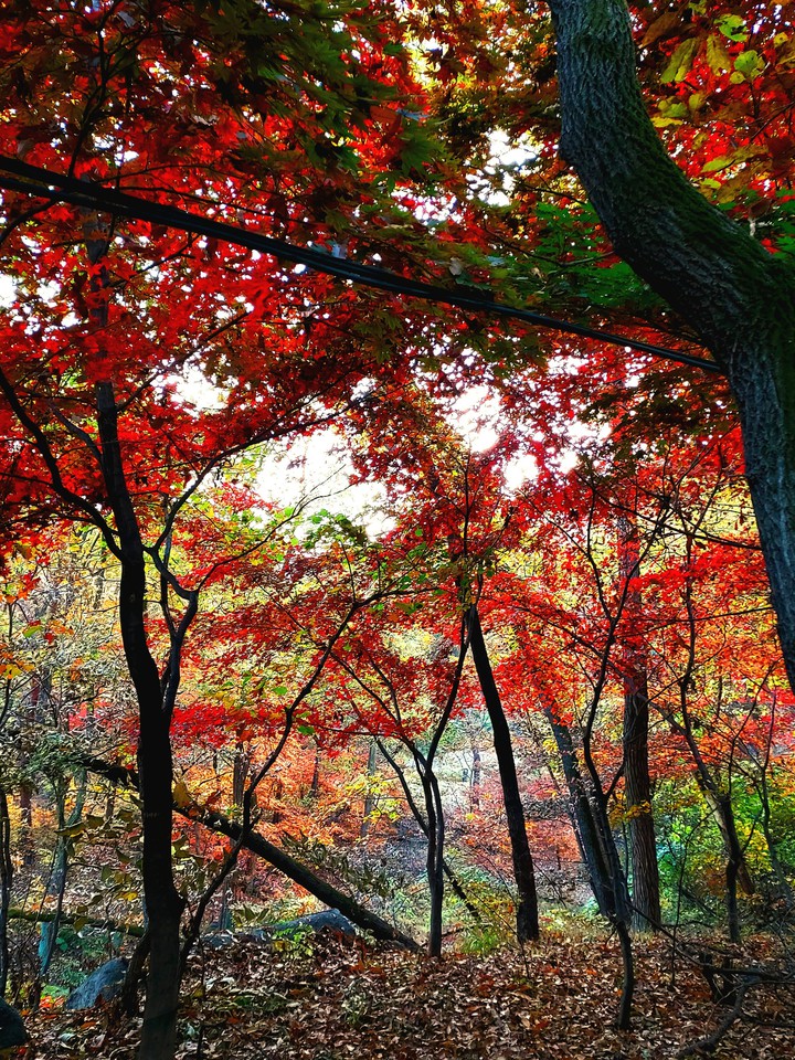 설봉산