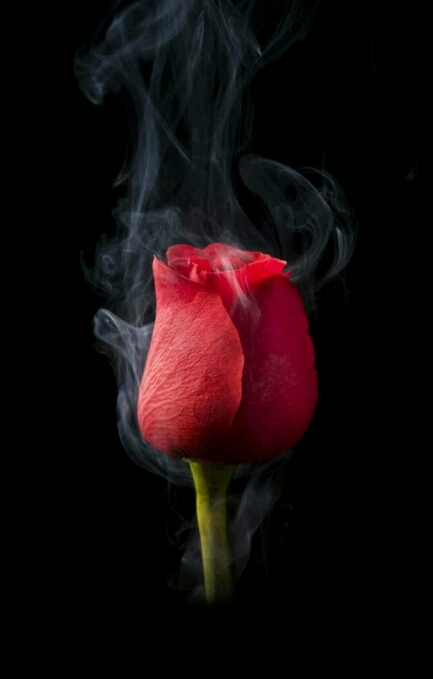 ❤