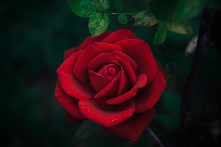 ●○~°•☆°•~♡♡♡♡~•°☆•°~○●