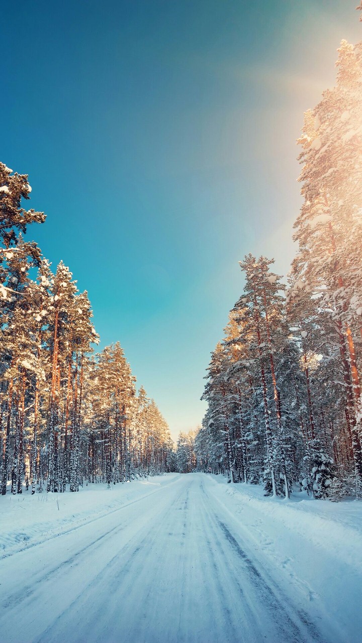 Snow road