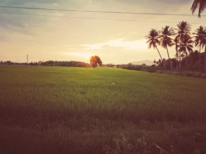 village