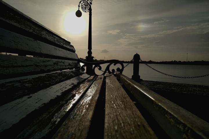 bench of life