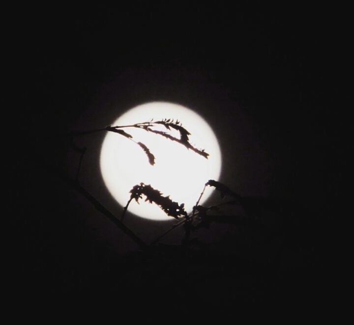 The hidden moon!!