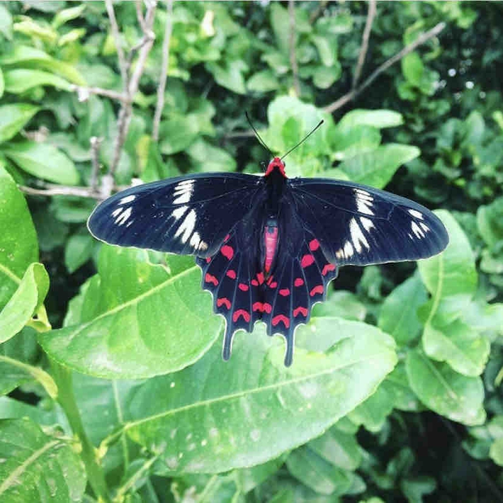 Beauty of nature