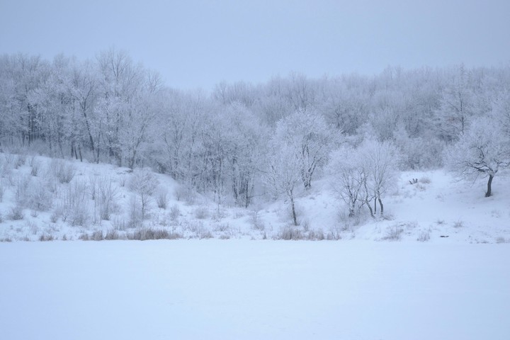Winter white lake