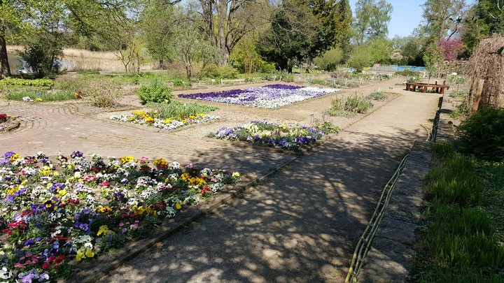 Park in Braunschweig