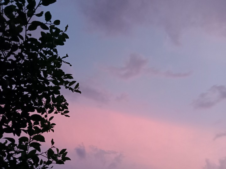 https://thepioussmile.blogspot.com/