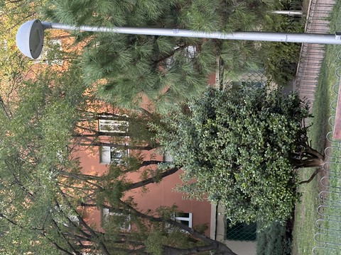 Arboleda - Madrid