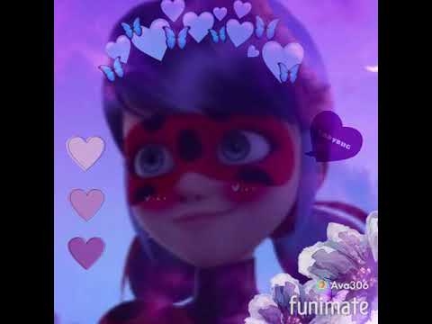 Pfp Of Lady bug