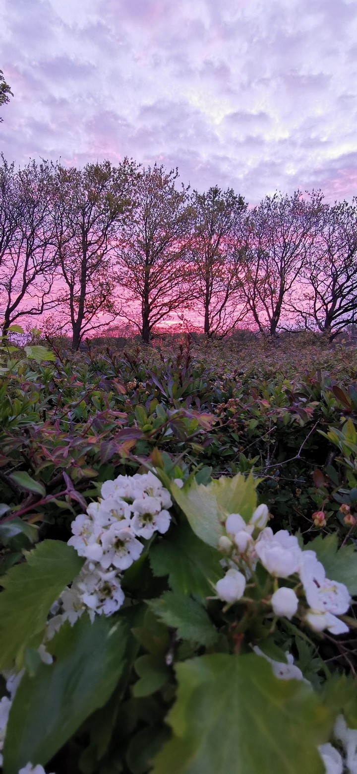 Lovely morning