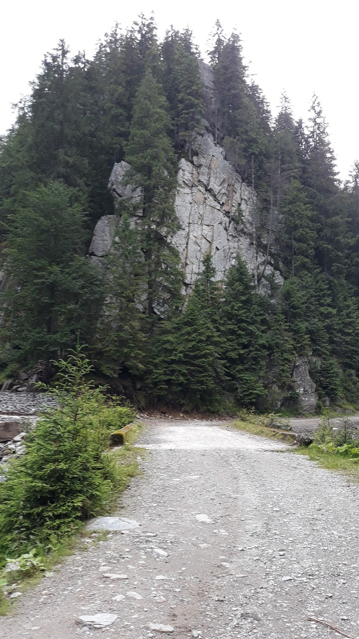 mountain road