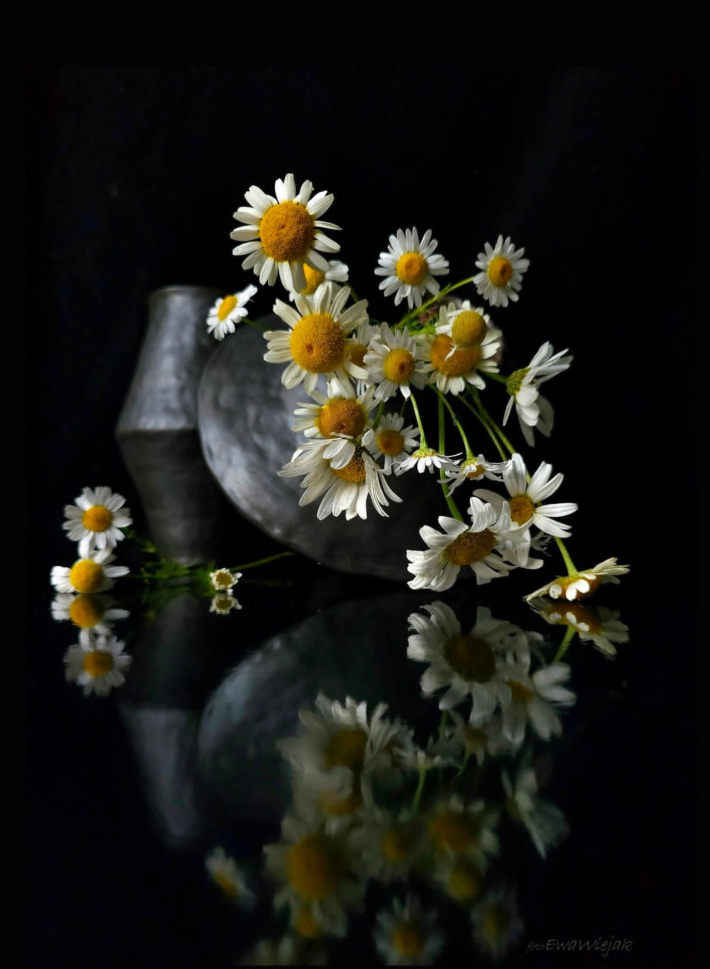 тапети floristry, petal