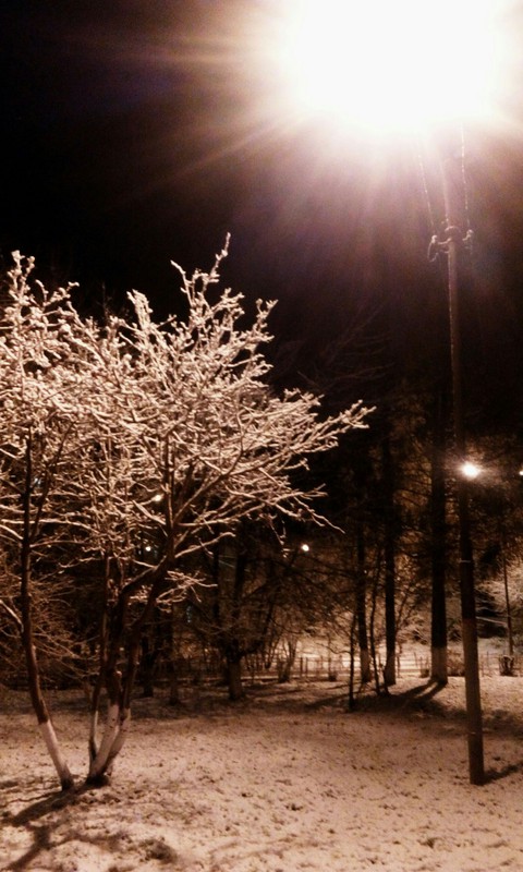 Autumn. Snow. November