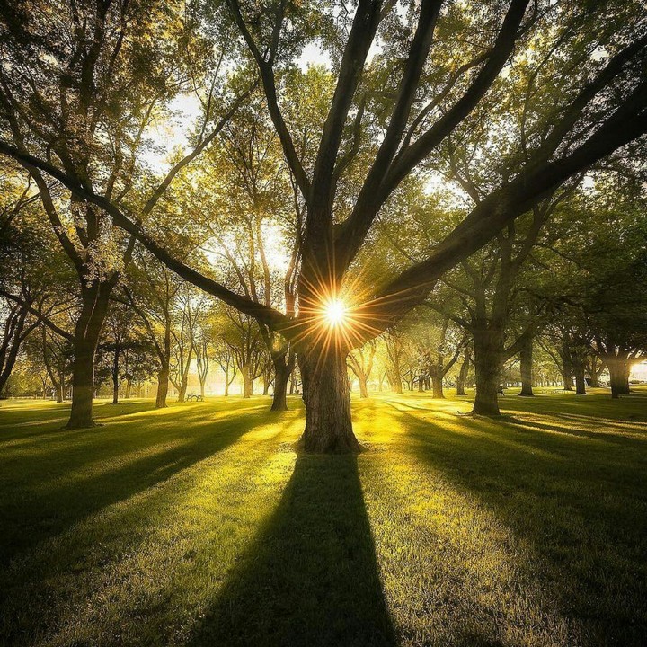 nature magic