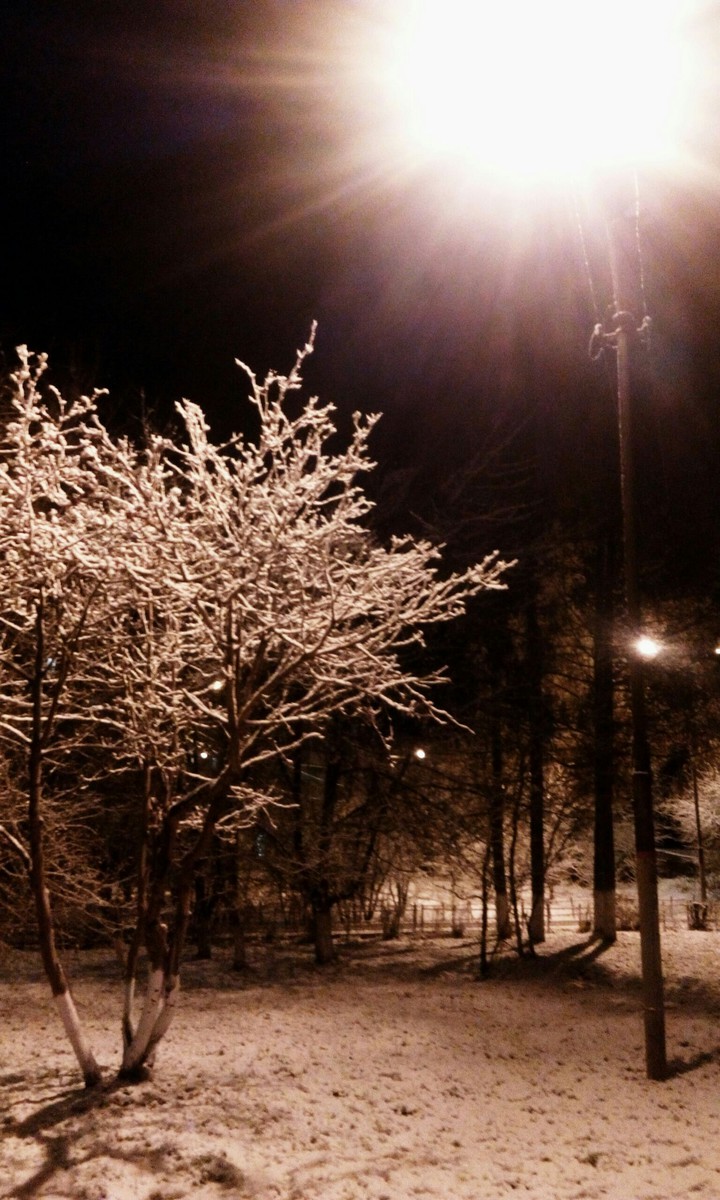 Autumn. Snow. November