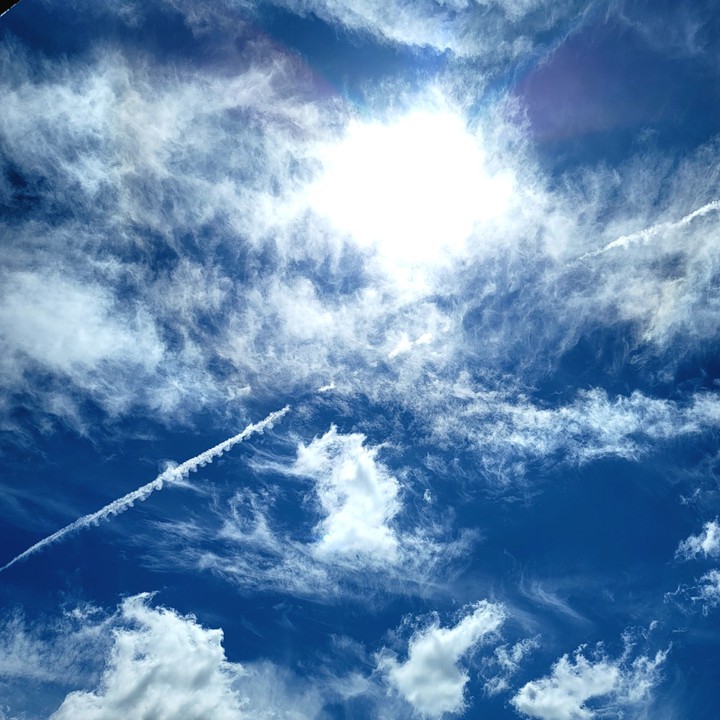Can you see some wings?