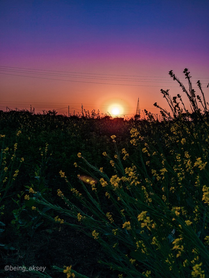 Sunset?