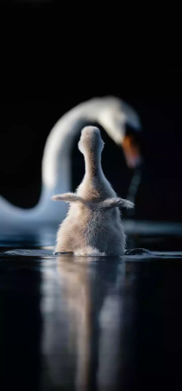 cute baby