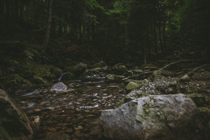 mountain stream