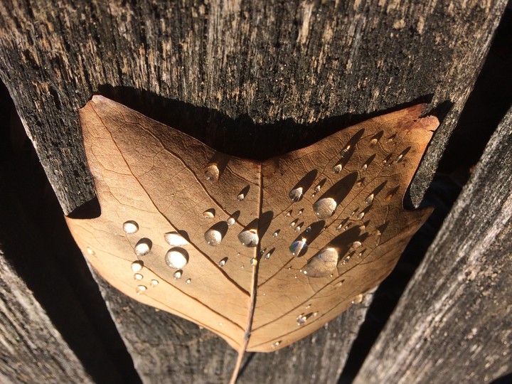 drop on