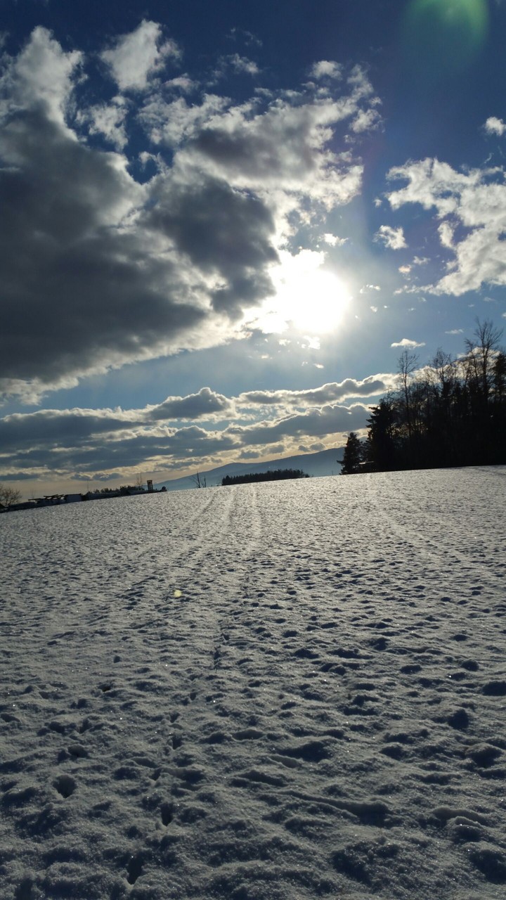 wonderland