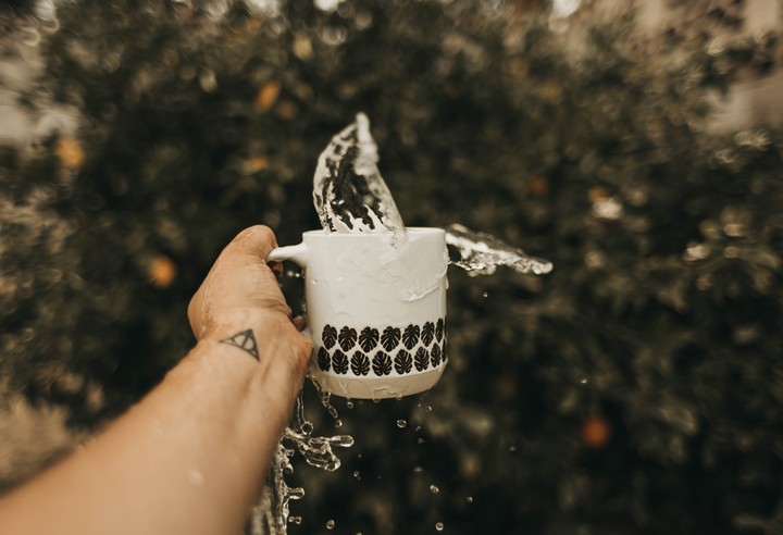 Cup