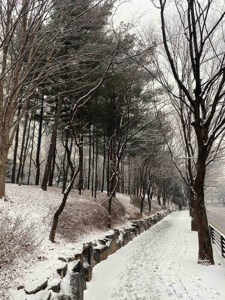 눈 길