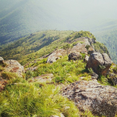 Mountain. Green
